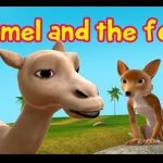 Kamel and the fox