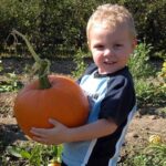 pompkin
