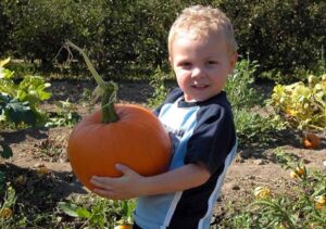 pompkin