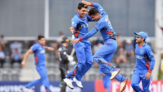 ICC U-19 World Cup: Afghanistan thwart Kiwis to reach semis